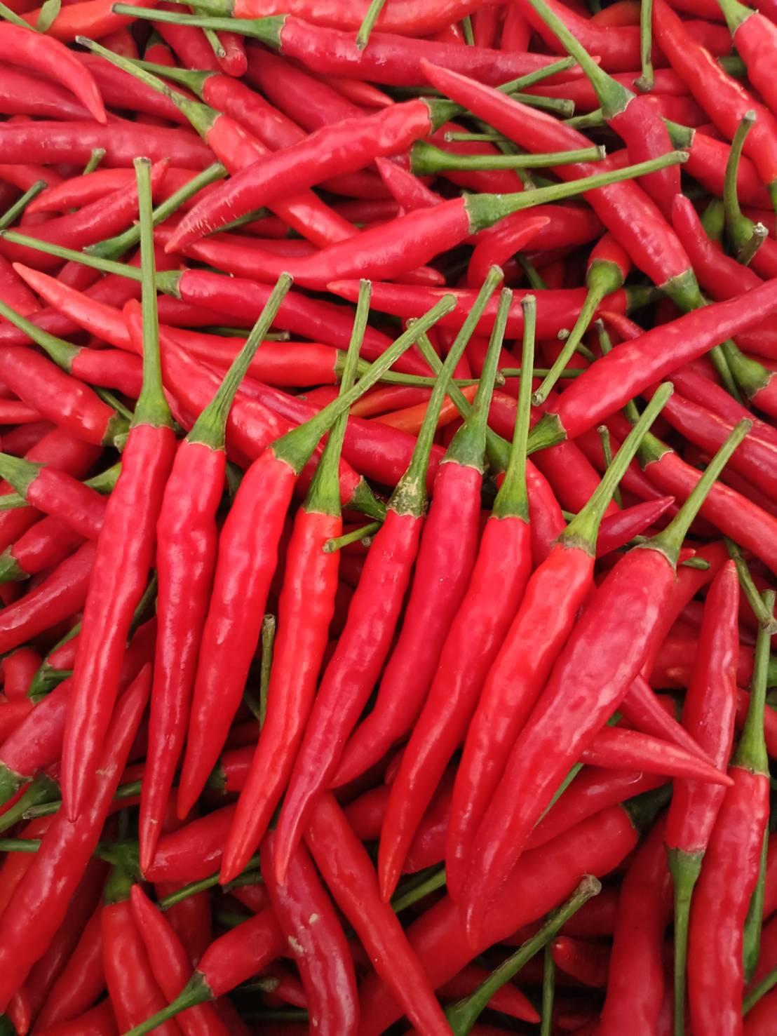 Agricultural products from Thailand