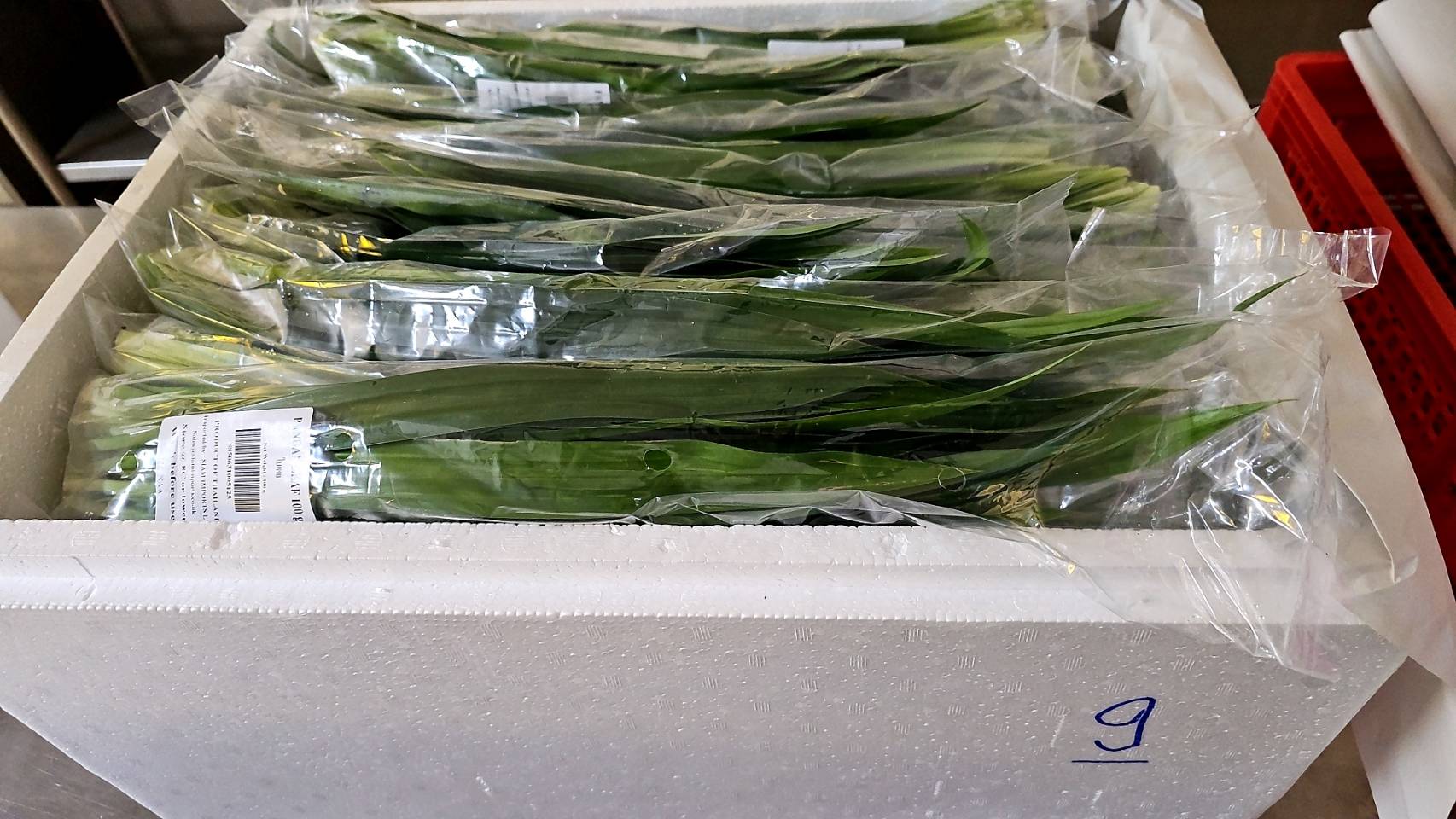 Packaging sample 9