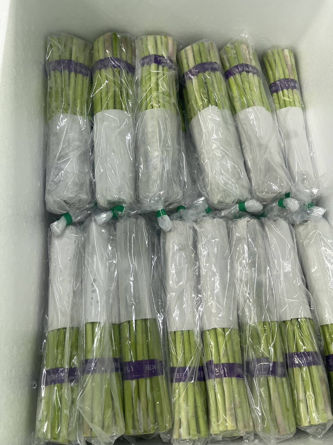 Packaging sample 2